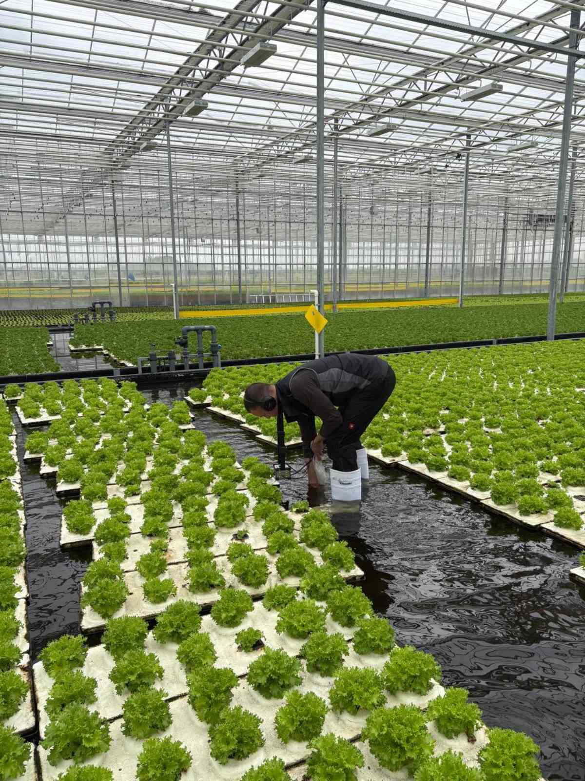 Пошук витоку води на виробництві компанії Galicia Greenery LLC.